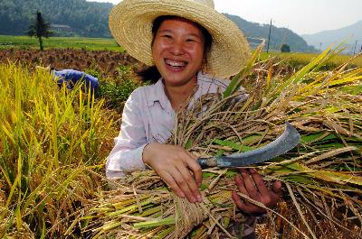 Une journée de Farmer Chinois