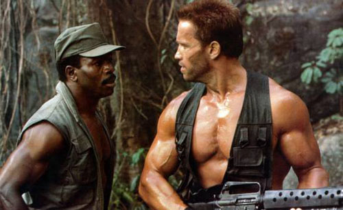 Predator_1