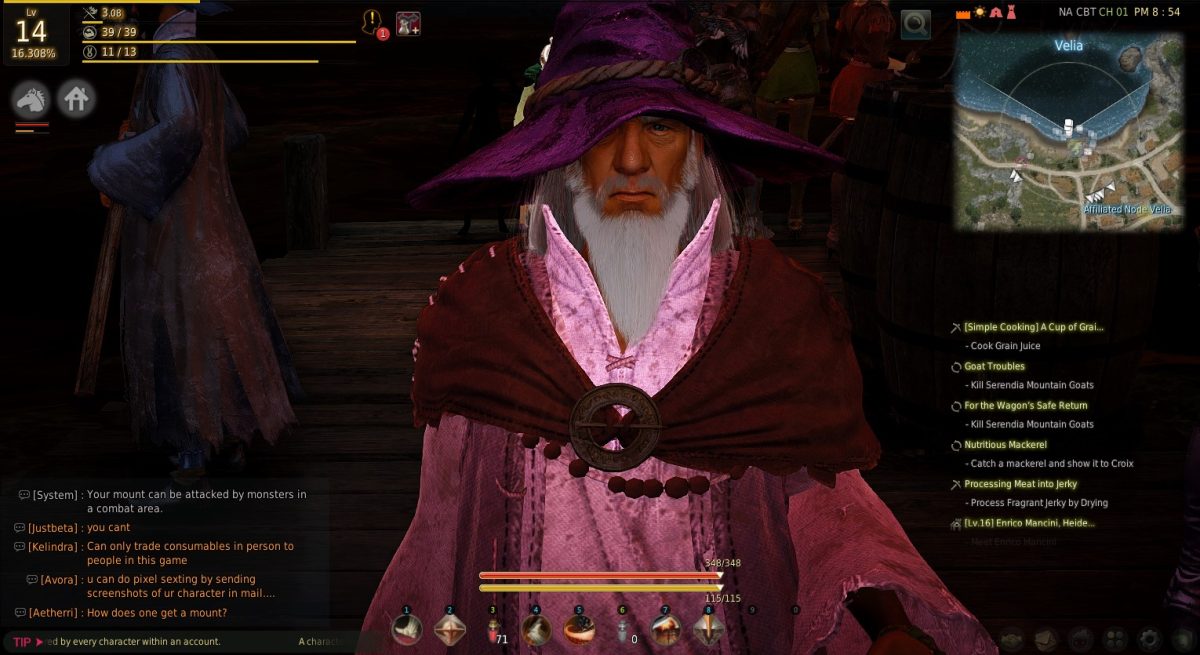 Black Desert Online: Jour 5 ( dernier jour )