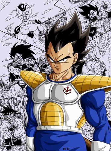 Logo Vegeta.jpeg