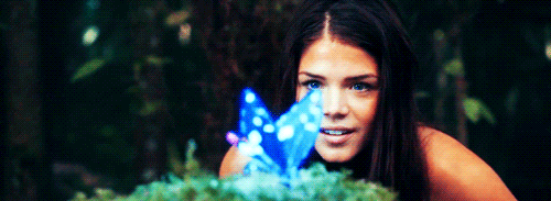 Gif papillon.gif