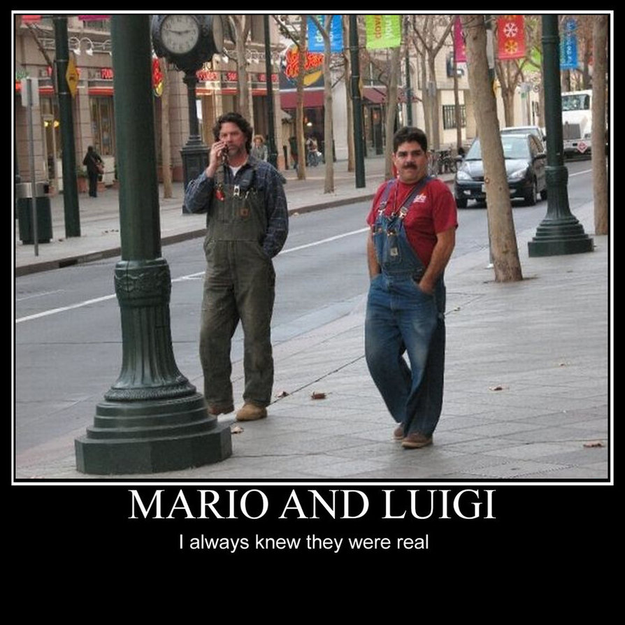 Mario et Luigi.jpg