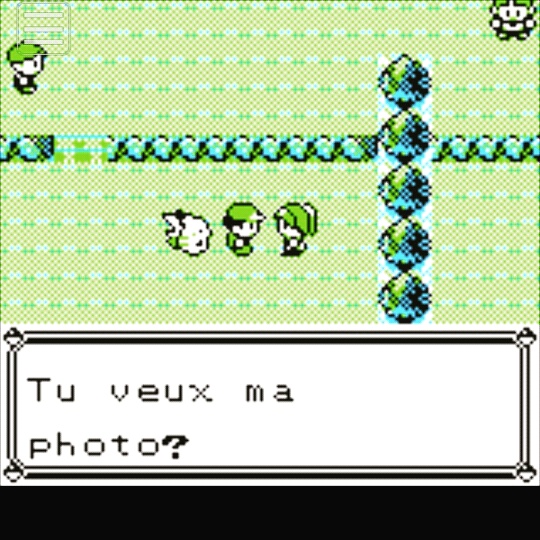 Incohérence dans Pokémon.jpg