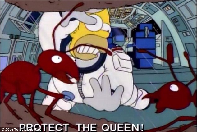 Fourmis de l'Espace.jpg