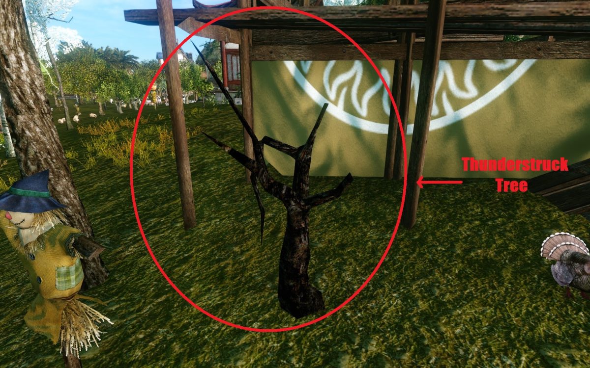 ThunderStruck Tree.jpg