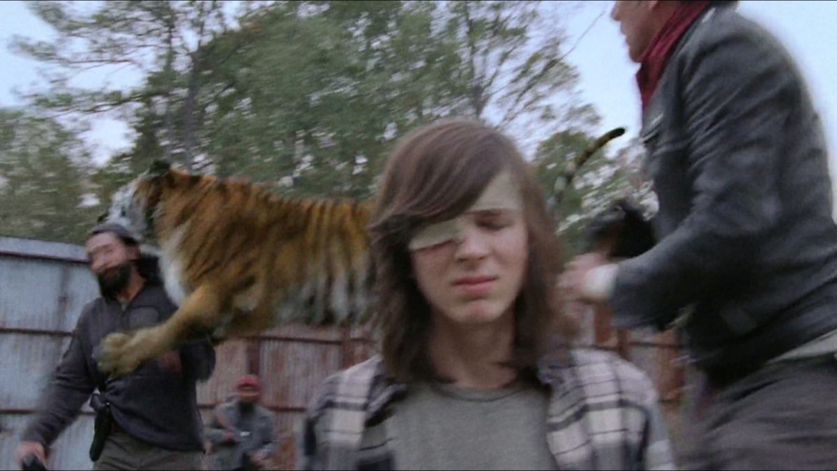 Shiva, le plus grand de tous les Tigres.jpg