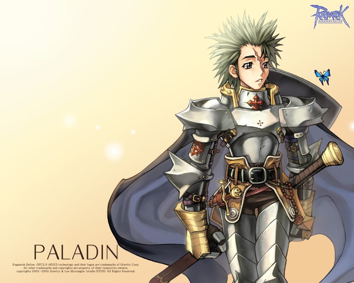 Homme Paladin