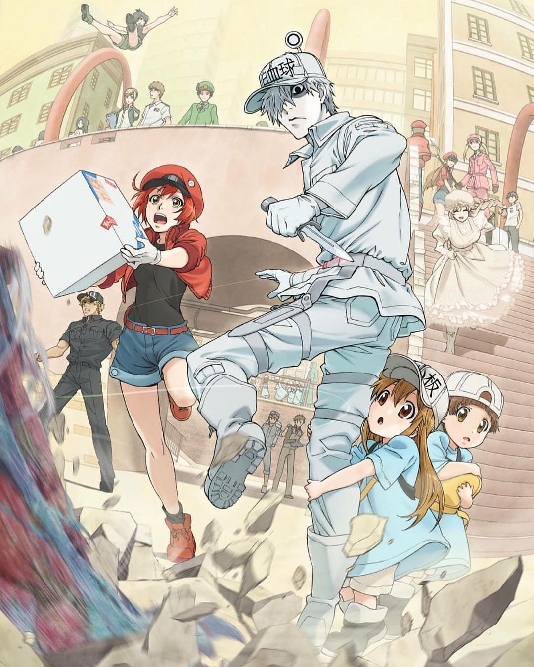 Top 10 des raisons de regarder Hataraku Saibou/Les Brigades Immunitaires/ はたらく細胞