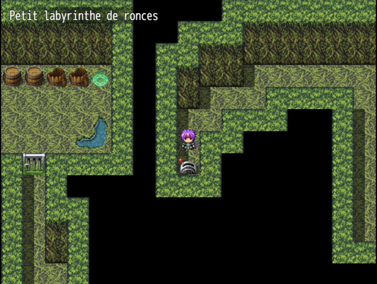 Petit labyrinthe de ronces
