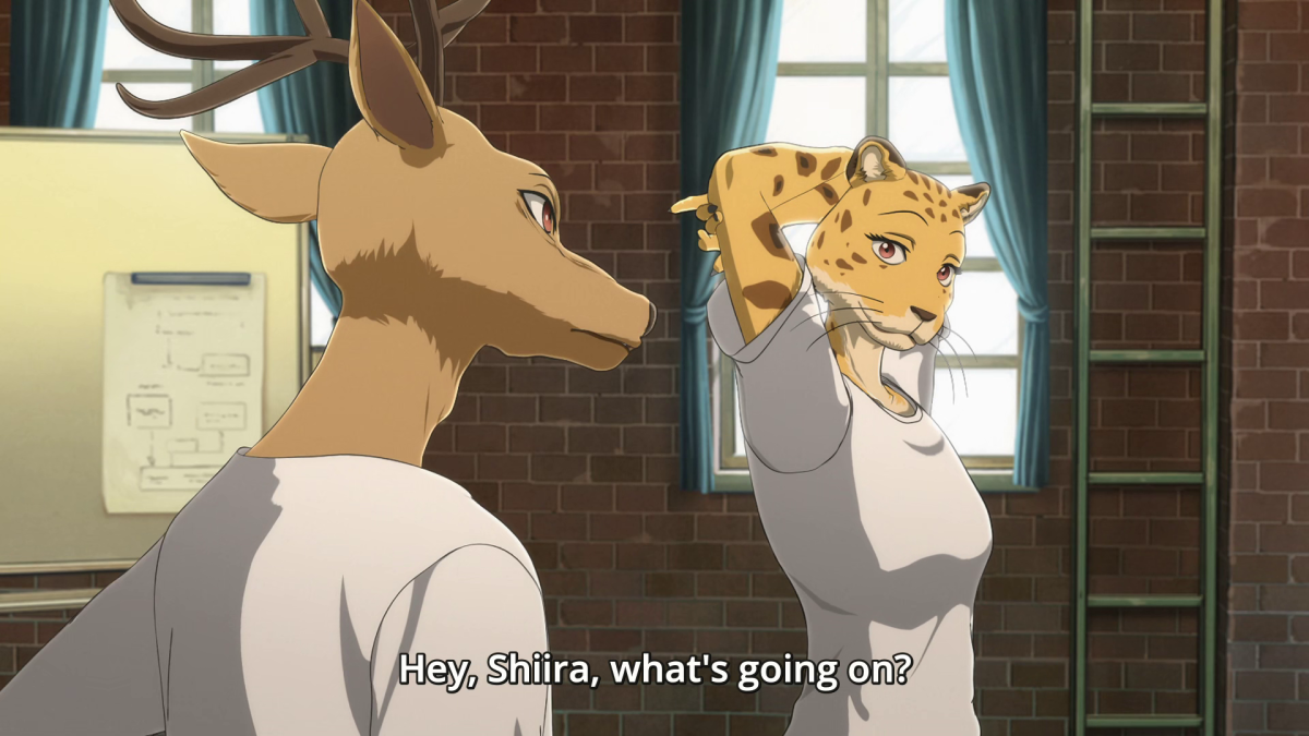 Shiira Beastars