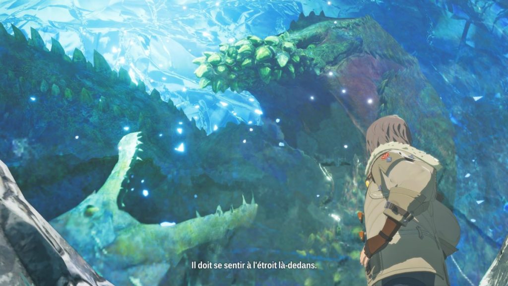 Un personnage debout devant une créature marine massive dans un environnement aquatique illuminé, avec des détails de pierres et des reflets de lumière.
