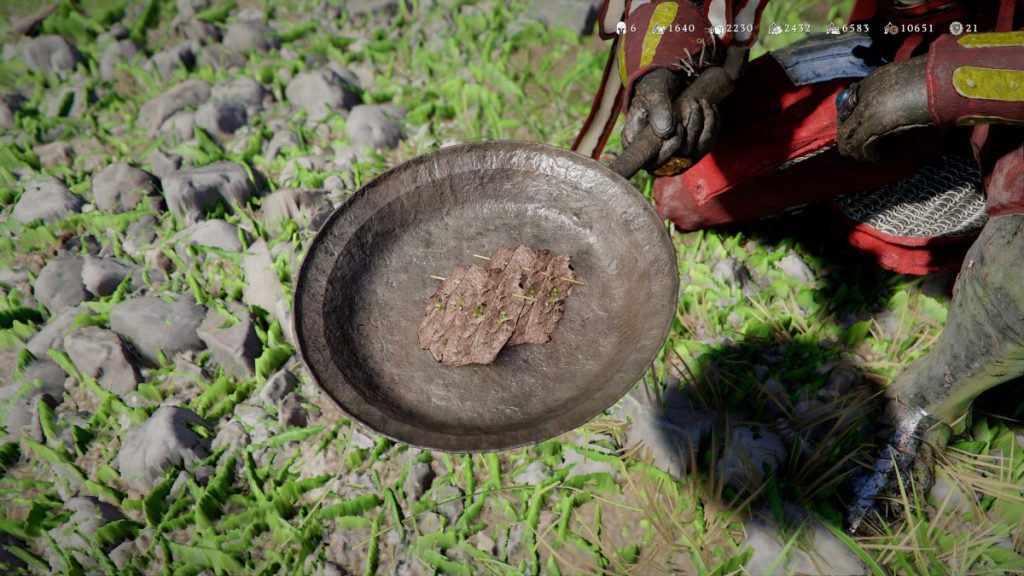 Un plat en métal contenant des morceaux de viande et de l'herbe, posé sur un sol en herbe et en pierres.